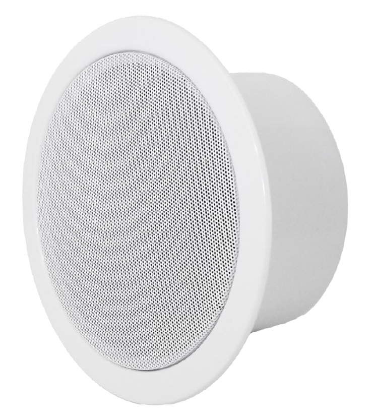 Ceiling Speaker