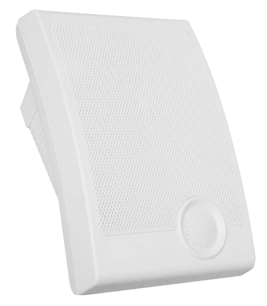 Wall-mounted Speaker